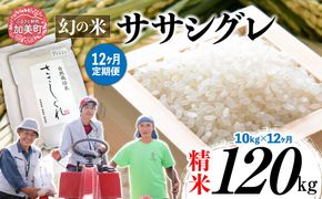 【 12回 定期便 】ササシグレ 精米 10kg × 12回 （ 合計 120kg ）