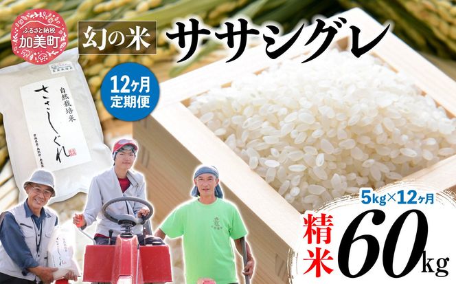 【 12回 定期便 】ササシグレ 精米 5kg × 12回 （ 合計 60kg ）