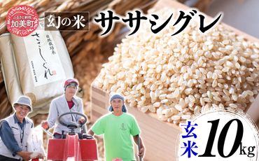 《 先行予約 》 令和6年産 ササシグレ 玄米 10kg