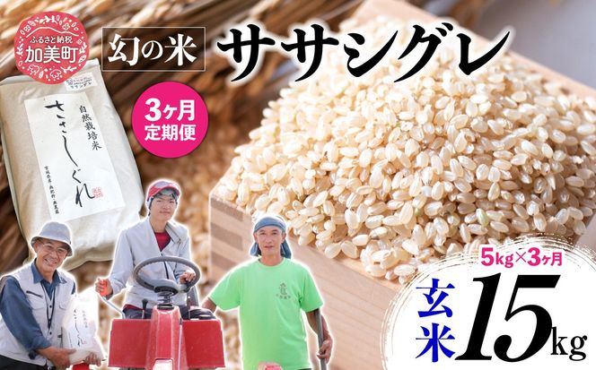 《 先行予約 》 【 3回 定期便 】ササシグレ 玄米 5kg × 3回 （ 合計 15kg ）