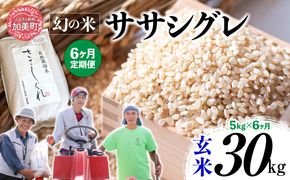 【 6回 定期便 】ササシグレ 玄米 5kg × 6回 （ 合計 30kg ）