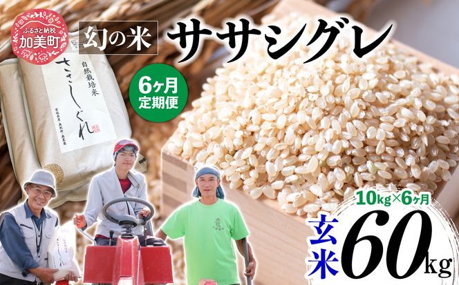 【 6回 定期便 】ササシグレ 玄米 10kg × 6回（ 合計 60kg ）