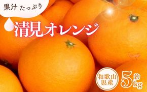 清見オレンジ約5kg/果実サイズおまかせ ※2025年2月中旬～2025年4月下旬頃に発送予定　紀伊国屋文左衛門本舗【ntbt400A】