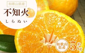 デコ不知火（デコポン） 約5kg / サイズおまかせ　※2026年2月上旬～2026年4月上旬頃に順次発送予定(お届け日指定不可)　紀伊国屋文左衛門本舗　【sgtb420A】