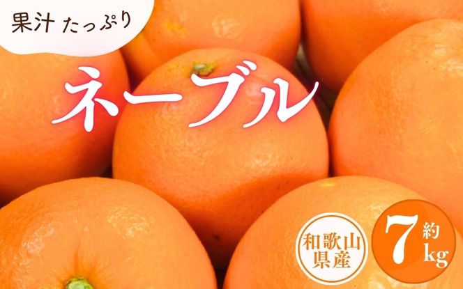 ネーブル 約7kg/サイズおまかせ　※2025年1月中旬～2025年2月上旬頃に順次発送予定(お届け日指定不可)　紀伊国屋文左衛門本舗　【ntbt430A】