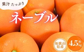 ネーブル 約4.5kg/サイズおまかせ　※2025年1月中旬～2025年2月上旬頃に順次発送予定(お届け日指定不可)　紀伊国屋文左衛門本舗　【ntbt431B】