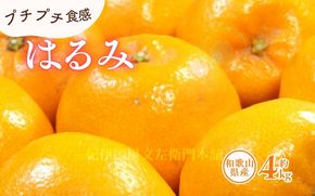 はるみ 約4kg/サイズおまかせ　※2025年1月下旬～2025年3月中旬頃に順次発送予定(お届け日指定不可)　紀伊国屋文左衛門本舗　【ntbt460B】