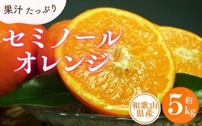 セミノールオレンジ 約5kg/サイズおまかせ　※2025年4月中旬～2025年5月下旬頃に順次発送予定(お届け日指定不可)　紀伊国屋文左衛門本舗　【ntbt481A】