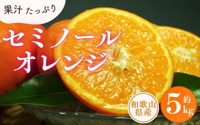 セミノールオレンジ 約5kg/サイズおまかせ　※2025年4月中旬～2025年5月下旬頃に順次発送予定(お届け日指定不可)　紀伊国屋文左衛門本舗　【ntbt481A】