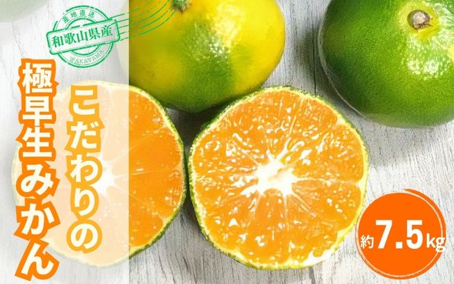 みかん 【2026年秋頃発送予約分】＼光センサー選別／ 【農家直送】こだわりの極早生みかん 約7.5kg 【数量限定】 有機質肥料100% サイズ混合 ※2026年10月～11月に順次発送予定（お届け日指定不可） 有田産【nuk136E】