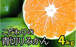 ＼光センサー選別／ 【先行予約】＼有機質肥料100%／ こだわりの青切りみかん 約4kg サイズ混合 【2025年9月下旬頃より順次発送】【nuk142B】