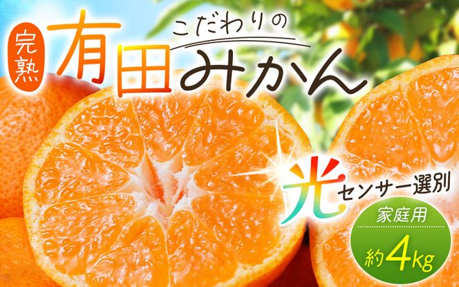 【先行予約】 ＼光センサー選別／  【農家直送】＼発送時期が選べる／ 【家庭用】こだわりの有田みかん 約4kg＋250g(傷み補償分 先行予約 有機質肥料100% サイズ混合【nuk148B_cho】