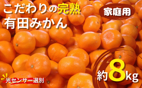 ＼光センサー選別／ 【農家直送】【2022年12月上旬～1月中旬頃発送】【家庭用】こだわりの有田みかん 約8kg＋250g(傷み補償分)【nuk100E】