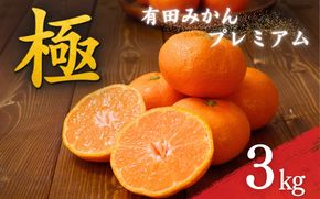 ＼光センサー選別／極 有田みかんプレミアム 3kg【糖度12度以上】2S～Mの小玉サイズ 有機質肥料100% ※2024年11月下旬頃～2024年12月下旬頃に順次発送予定【nuk154】