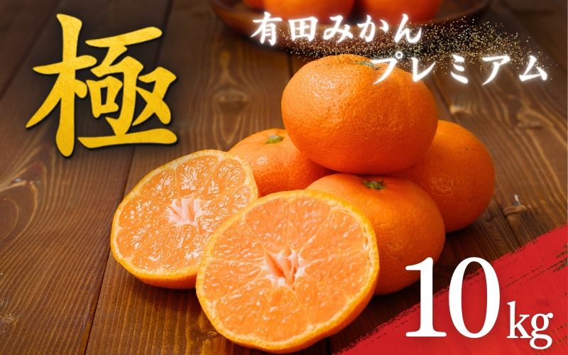 ＼光センサー選別/極 有田みかんプレミアム 10kg[光センサー 高糖度選別品]2S〜Lサイズ 有機質肥料100% ※2025年11月下旬頃〜12月下旬頃に順次発送予定[nuk156C]