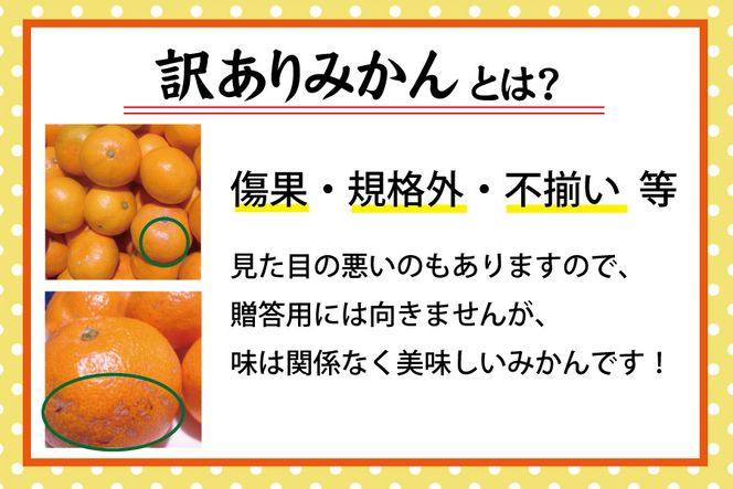 【訳あり】農家直送 有田みかん 約7.5kg ご家庭用 サイズ混合 ※2024年11月中旬から2025年1月中旬までに順次発送予定（お届け日指定不可） 訳ありみかん 温州みかん【nuk157B】