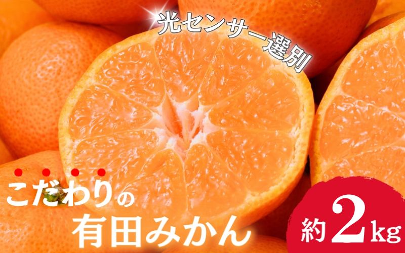 [2024年11月発送予約分]＼光センサー選別/農家直送 こだわりの有田みかん 約2kg+250g(傷み補償分) [ご家庭用][11月発送]みかん ミカン 有田みかん 温州みかん 柑橘 有田 和歌山