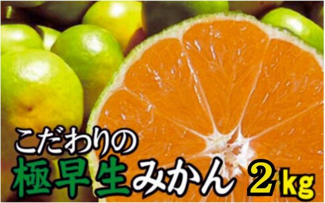 【2025年秋頃発送予約分】【農家直送】こだわりの極早生みかん 約2kg【数量限定】 有機質肥料100% サイズ混合 ※2025年9月下旬より順次発送予定（お届け日指定不可）【nuk170】