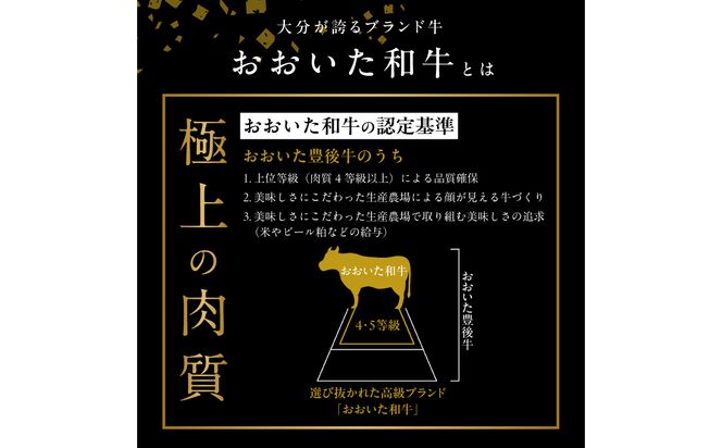 【A01104】百年の恵み　おおいた和牛A5　ステーキ用厚切り【厳選部位】約600ｇ