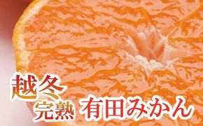 家庭用　越冬完熟みかん3kg+90g（傷み補償分）【ハウスみかん】【わけあり・訳あり】【光センサー選果】＜1月中旬より順次発送予定＞【ikd122B】