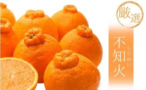 【先行予約】厳選不知火1kg+250g（傷み補償分）＜2月より発送＞/ みかん ミカン 有田みかん 柑橘 フルーツ 果物 和歌山 オレンジ【ikd207B】