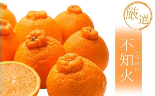 ya̎RI쒬zys\zIsm1kg+250giݕ⏞j2蔭/ ݂ ~J Lc݂ k t[c ʕ a̎R IWyikd207Bz