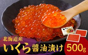 鮭いくら醤油漬け　250ｇ×2_Y006-0010