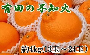 【濃厚】有田の不知火約4kg（13玉～24玉おまかせ） ※2025年2月中旬～2025年3月上旬頃に順次発送予定【tec863A】