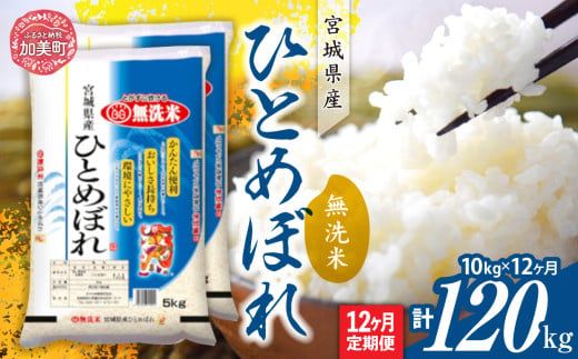 【定期便12回】令和6年産 宮城県産 ひとめぼれ 無洗米10kg(5kg×2）×12回   [ カメイ 宮城県 加美町 ]  お米 こめ コメ 精米 白米 ひとめぼれ | km00012-r6-10k