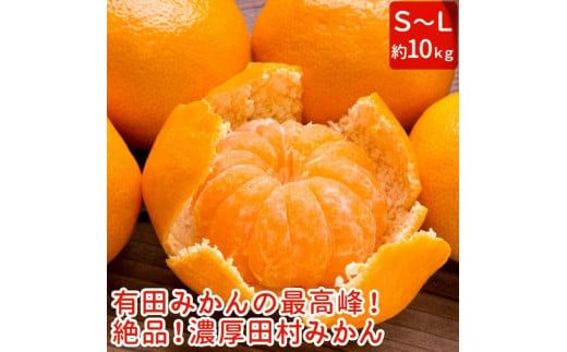 【和歌山特産品】【プレミアムブランド】絶品!濃厚田村みかん 秀品 約10kg ※2024年11月下旬～12月下旬頃に順次発送予定 ※北海道・沖縄・離島への配送不可【ard216】