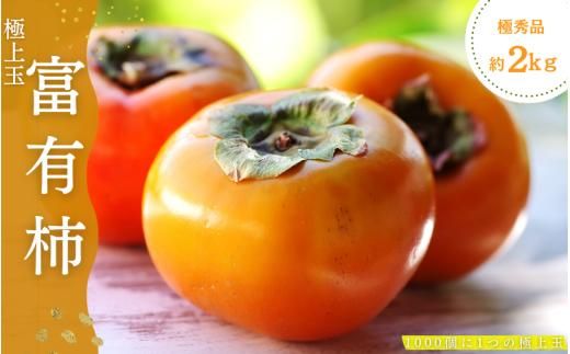 【先行予約】富有柿 2kg～2.5kg 6個入 至高の逸品 約1000個に１個！ 2025年10月下旬～2025年11月下旬頃に順次発送予定（お届け日指定不可）/ 和歌山 柿 かき フルーツ 果物 く【kgr013】