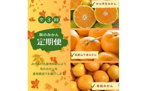 【3か月定期便】みかんの名産地和歌山発！秋のみかん定期便♪ゆら早生みかん・下津みかん・有田みかん【tkb362】