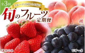 フルーツ 定期便 【全3回】＼フルーツ大国和歌山からお届け／  旬のフルーツ 定期便（いちご・桃・ピオーネ）【tkb401】