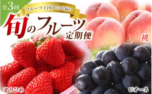 フルーツ 定期便 【全3回】＼フルーツ大国和歌山からお届け／  旬のフルーツ 定期便（いちご・桃・ピオーネ）【tkb401】