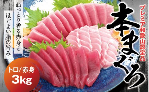 本マグロ（養殖）トロ＆赤身セット 3kg 【１ヶ月以内に順次発送】【配達日指定不可】高級 クロマグロ  中トロ 中とろ まぐろ マグロ 鮪 刺身 赤身 柵 じゃばらまぐろ 本マグロ 【nks112B】