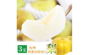 紀州和歌山産の梨 3玉 化粧箱入 ※2026年8月中旬～9月上旬頃に順次発送 ※日付指定不可 梨 なし ナシ 果物 くだもの フルーツ 甘い【uot787】