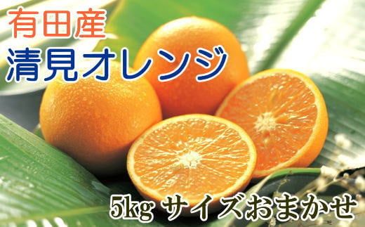 【産直】有田産清見オレンジ約5kg（サイズおまかせ・秀品）【tec866B】