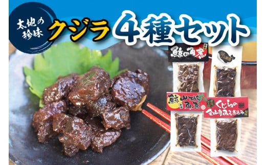 くじら4種セット （ くじらの角煮、鯨の山椒角煮、くじらの金山寺みそ煮込み、鯨の照り煮 ）【kin011】