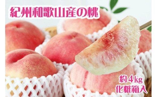 紀州和歌山産の桃　約4kg　化粧箱入	※2025年6月下旬～2025年8月上旬頃順次発送（お届け日指定不可）【uot723A】