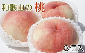 【産直・人気の特産品】和歌山の桃　3玉入り  ※2025年6月下旬～2025年8月上旬頃に順次発送【tec947A】