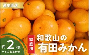 【11月発送】  ご家庭用 有田みかん 和歌山 S～Lサイズ 大きさお任せ 2kg  / みかん フルーツ 果物 くだもの 有田みかん 蜜柑 柑橘【ktn005-11】