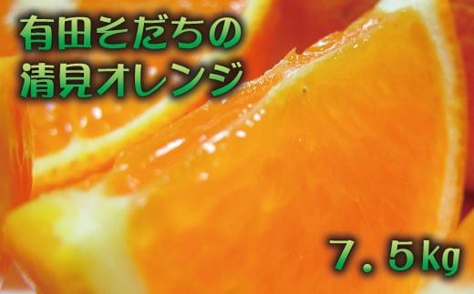 有田育ちの完熟清見オレンジ(ご家庭用)　7.5kg+200g(補償分)【2027年2月下旬～5月上旬頃に順次発送予定】【ard018C】