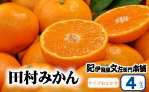 【予約受付】田村みかん 秀品 4kg サイズおまかせ/紀州和歌山有田郡湯浅町田村地区産 ◆2024年11月下旬～2025年1月中旬頃に発送(お届け日指定不可)　紀伊国屋文左衛門本舗【sgtb307A】