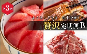 [全3回]まぐろ・うなぎ・和牛を楽しむ贅沢定期便B / 鮪 マグロ 刺身 鰻 ウナギ 蒲焼 熊野牛 肉 牛肉 和牛 黒毛和牛 赤身 こま切れ [tkb387]