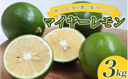 ya̎RV{sz͂t@[̃}C[ Rkg y2025N10`2026N1{̊Ԃŏz /  Y }C[ ʌ yhgf001Az