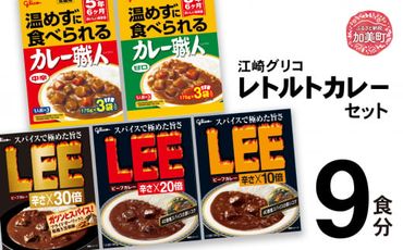 グリコ レトルトカレー セット 9食セット ｜非常食セット LEE カレー職人 食べ比べ レトルト食品 常温保存 レンジ kp00008