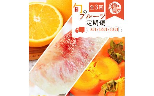 ya̎RV{szyS3zIBa̎RY{̃t[c (E`E݂) ytkb383z