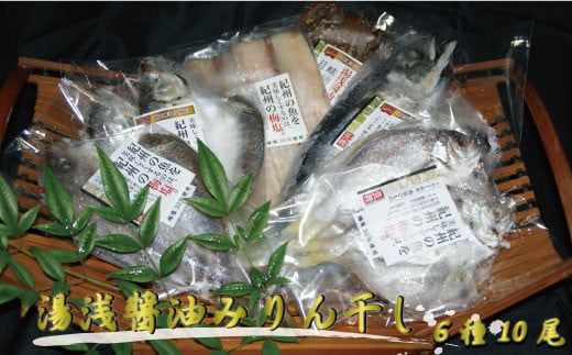 和歌山の近海でとれた新鮮魚の梅塩干物と湯浅醤油みりん干し6品種10尾入りの詰め合わせ【tec201】