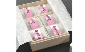 はちみつ梅干し贈答用木箱入り6粒個包装【2箱セット】［大玉］4L 紀州南高梅 うめぼし 和歌山産/紀伊国屋文左衛門本舗【ntbt282A】