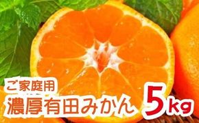 【先行予約　2024年12月発送】農園直送!完熟有田みかん【サイズ混合】5kg  ※北海道・沖縄・離島への配送不可【ard002B-2】